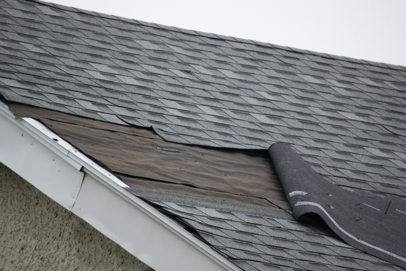 Gutter and Edge Repair