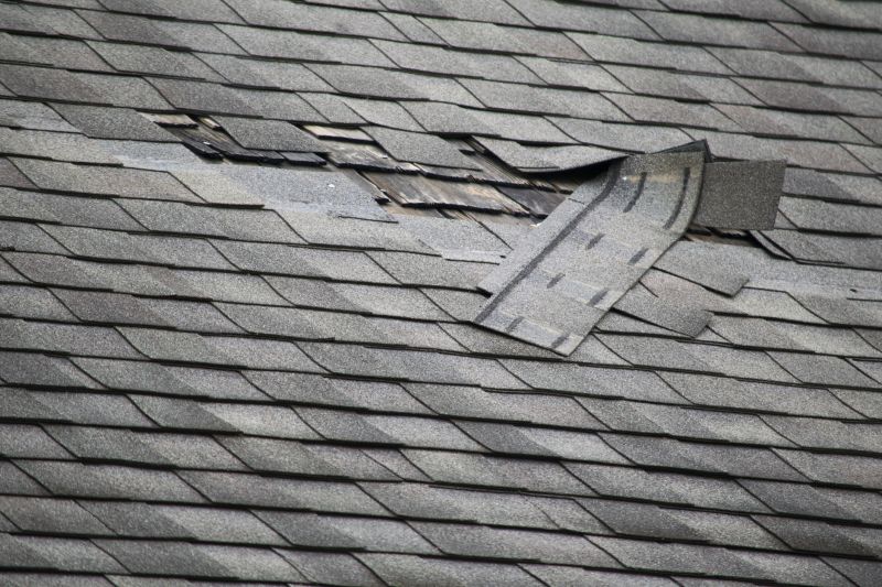 Edge and Gutter Repair