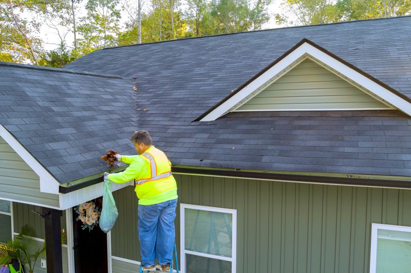 Gutter and Roof Cleaning